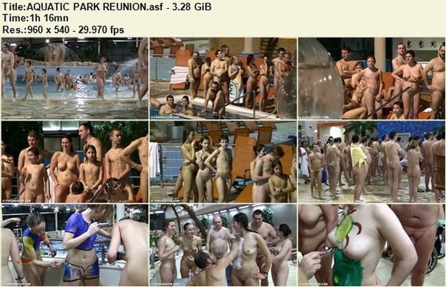 People do nudism videos - Aquatic park reunion